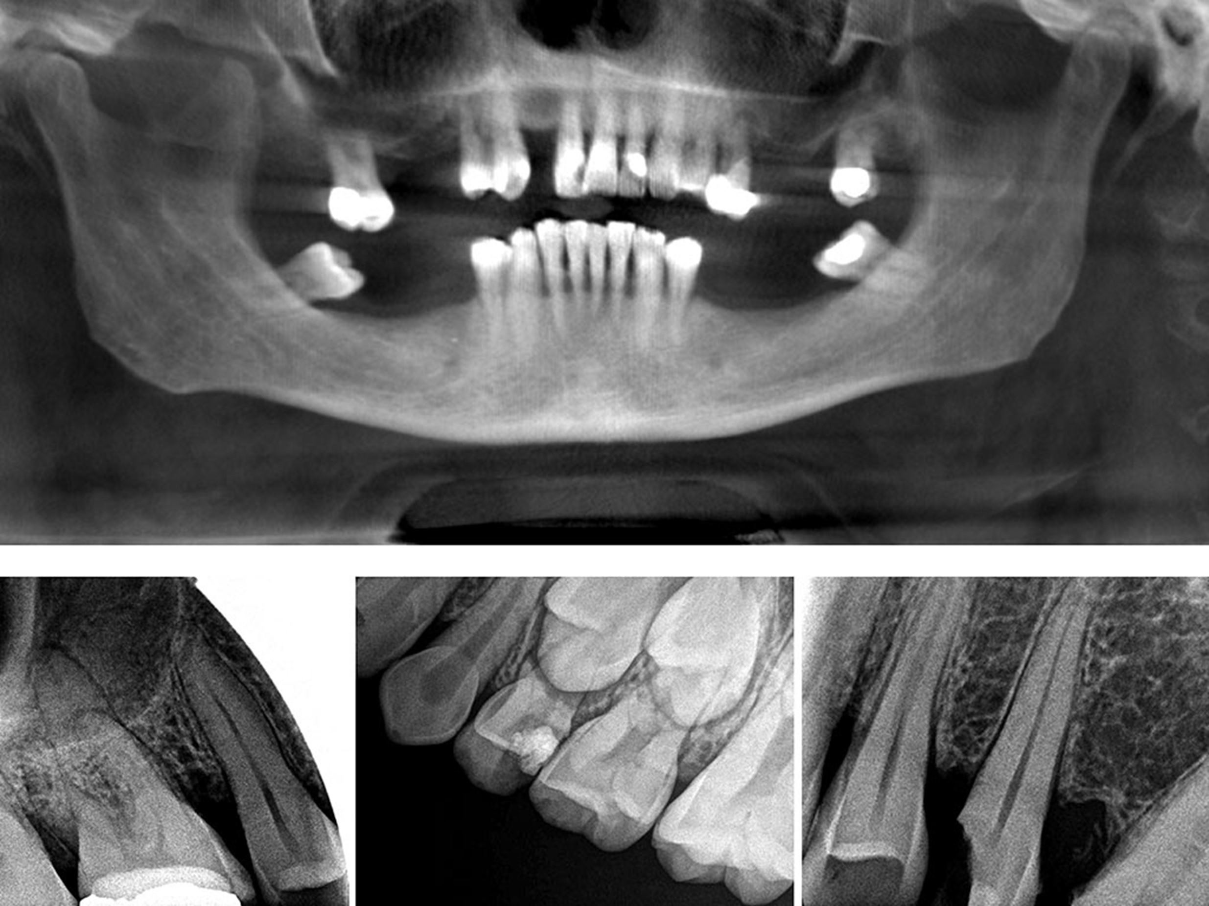 Radiologia